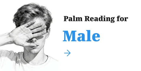 palm reading fore male